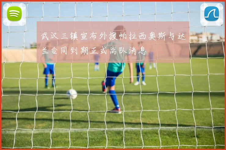 武汉三镇宣布外援帕拉西奥斯与达兰合同到期正式离队消息