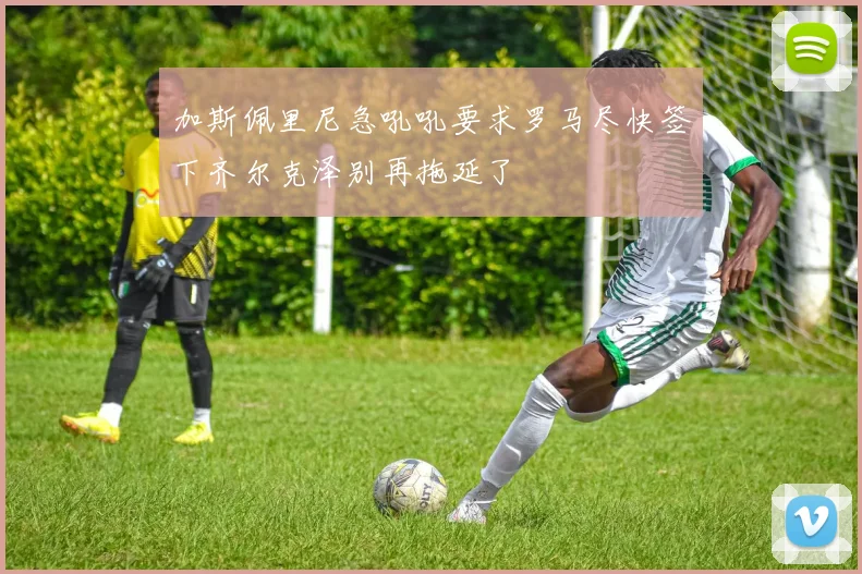加斯佩里尼急吼吼要求罗马尽快签下齐尔克泽别再拖延了