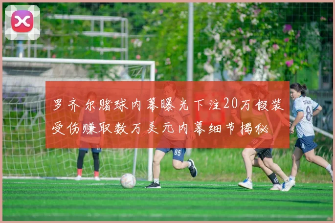 罗齐尔赌球内幕曝光下注20万假装受伤赚取数万美元内幕细节揭秘