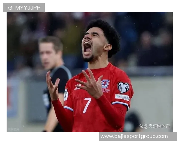 创造十次重大机会的球员仅加克波和佩里西奇在本届世欧预中脱颖而出 创造十次重大机会的球员仅加克波和佩里西奇在本届世欧预中脱颖而出