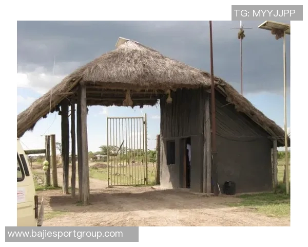 费尔明独特比喻展现队友风采特狮领袖卡萨多比特犬亚马尔最佳